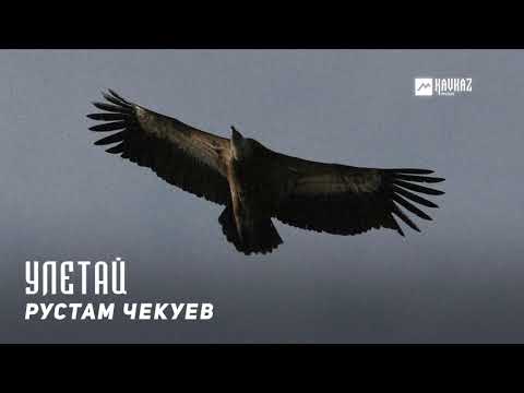 Рустам Чекуев - Улетай видео (клип)