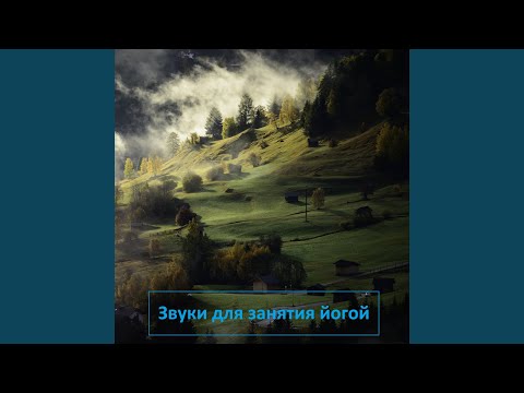 Природа - Чисто безмятежный лес видео (клип)