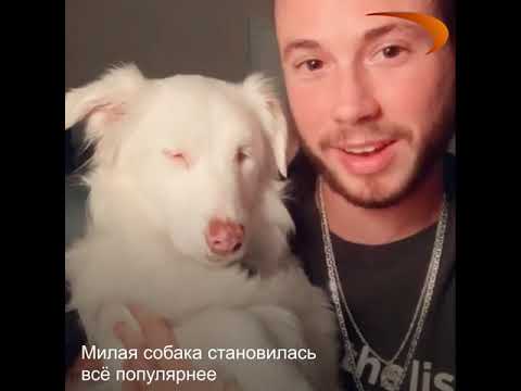 Слепой, DogHunter - Я да да да видео (клип)