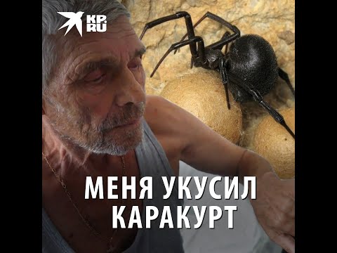 каракурта - Меня нет видео (клип)