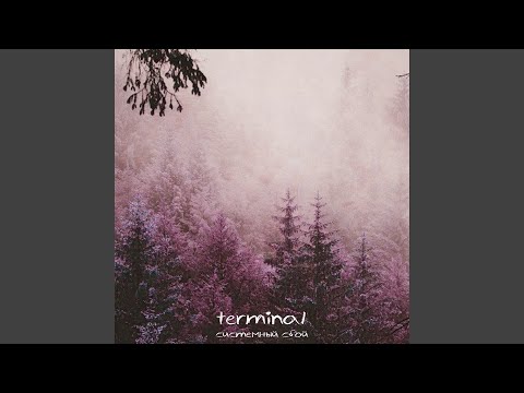 Terminal - Системный сбой видео (клип)