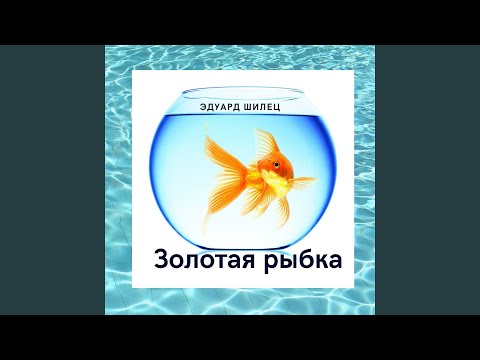 Эдуард Шилец - Золотая рыбка видео (клип)