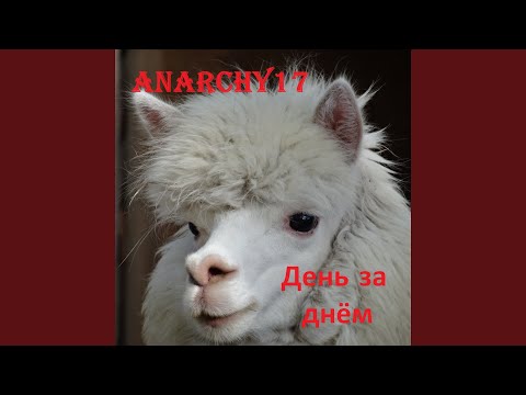 Anarchy17 - День за днём видео (клип)