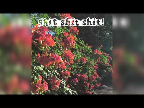 shit shit shit! - калифорния видео (клип)