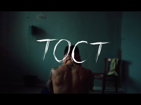 Тима ищет свет - тост видео (клип)