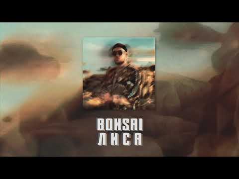 Bonsai - Лиса видео (клип)