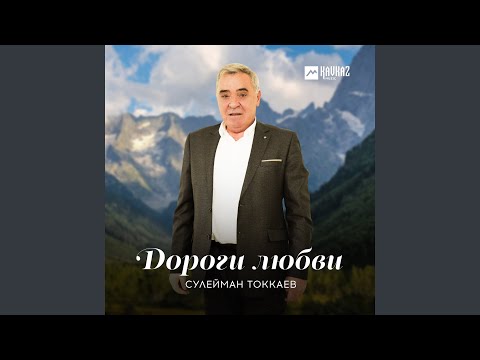 Сулейман Токкаев - Кегирхой синкъерам видео (клип)