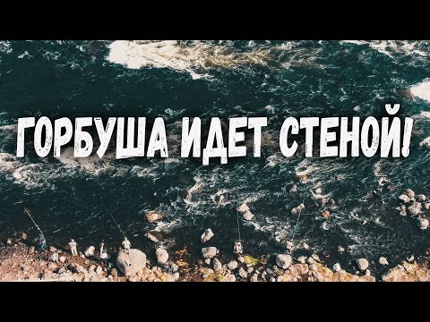 Rechka - Прёт видео (клип)