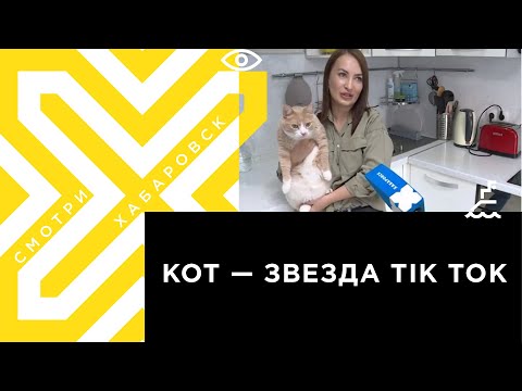 Kot Persik - Одиссея видео (клип)