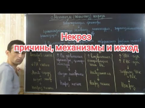 Некроз, Stanislava - Фактура бытия видео (клип)