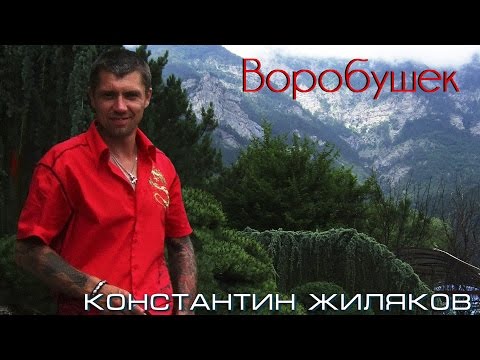 Константин Жиляков - Воробушек 2 видео (клип)