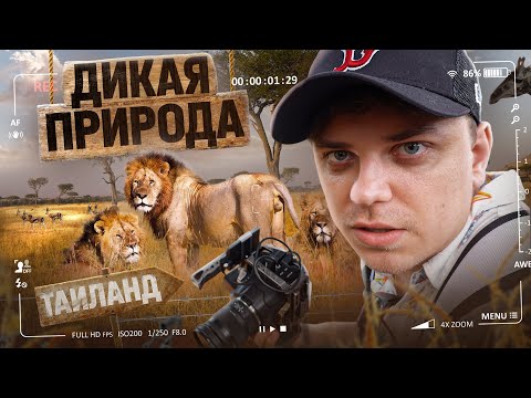 Emiloman - Опасная видео (клип)