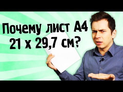 Кеды - Формат А4 видео (клип)