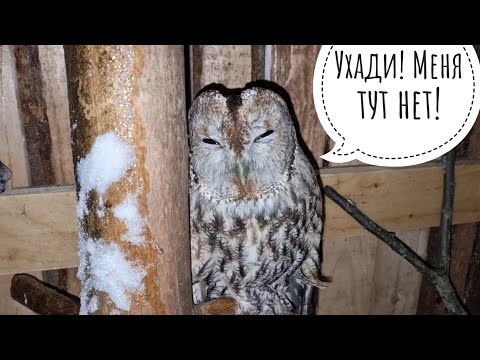 Sl.Owl - Похоронен видео (клип)