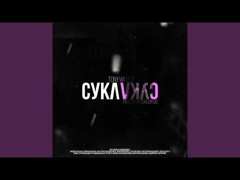 Tony Wuelz - Сука Сука (produced dy Bit.CakeProd) видео (клип)